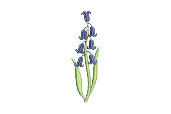 Bluebell: A Fresh Floral Touch for Small Business Merch