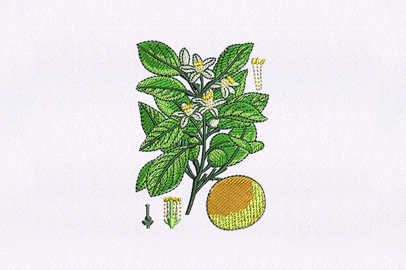 Floral Vines Orange: A Designer’s Real-World Review